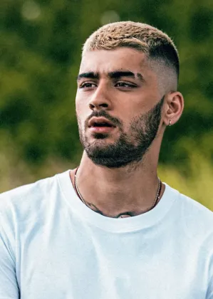 ZAYN